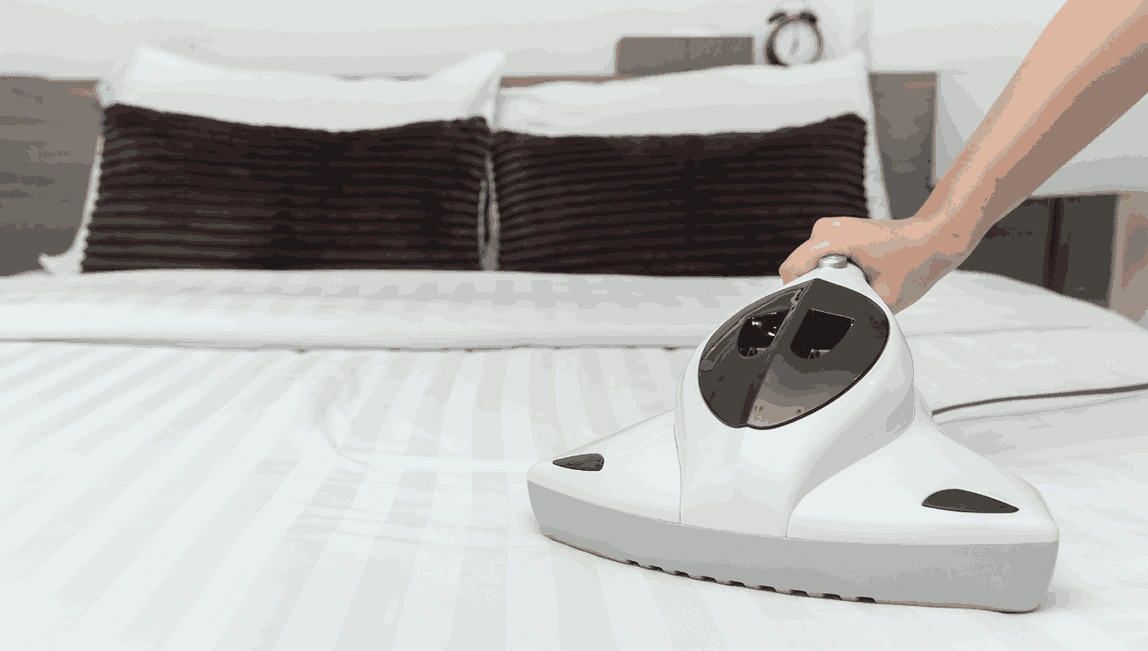 Professional Mattress Cleaning La Trobe